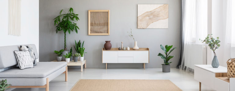 minimalist living room