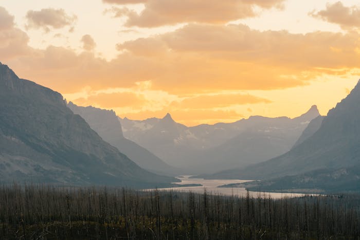 Montana Eviction Laws & Process