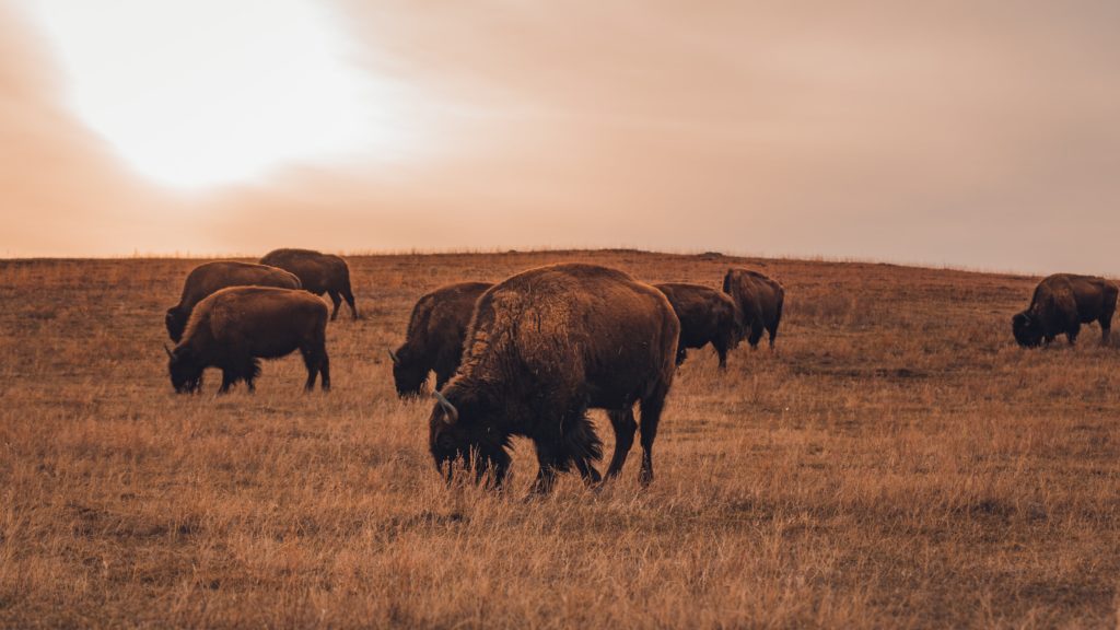 north-dakota-landscape