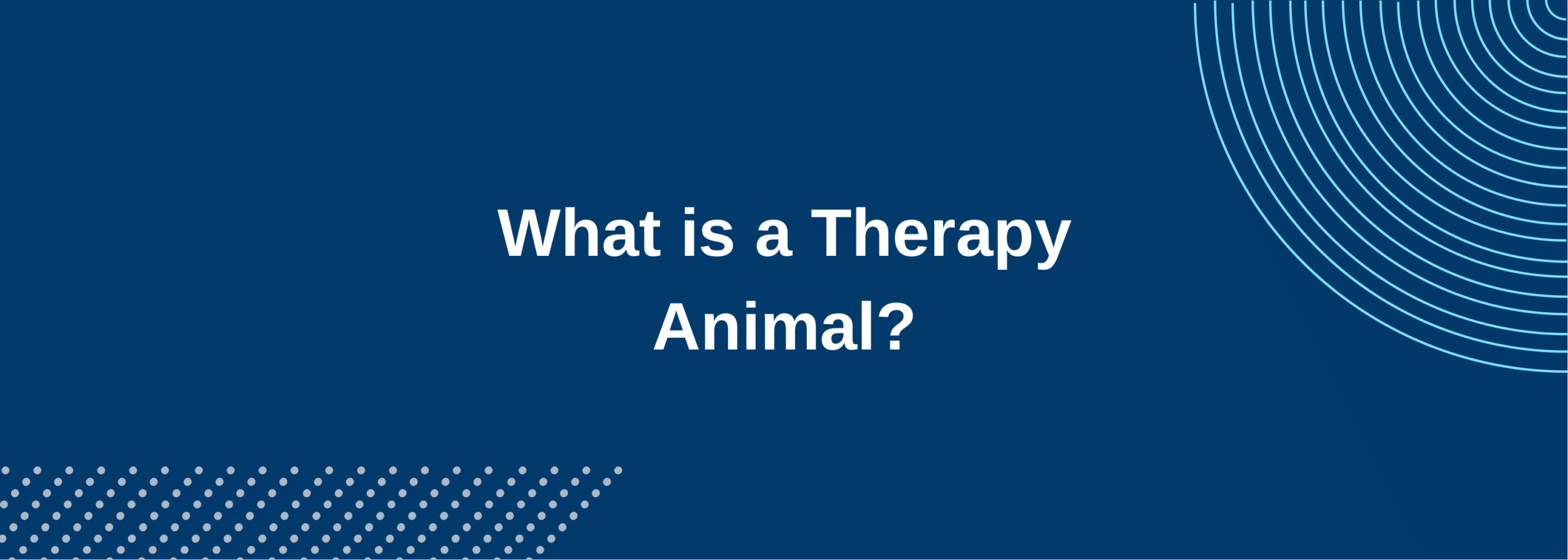 A therapy animal is a creature who is registered by an animal-assisted intervention organization to benefit people in need.