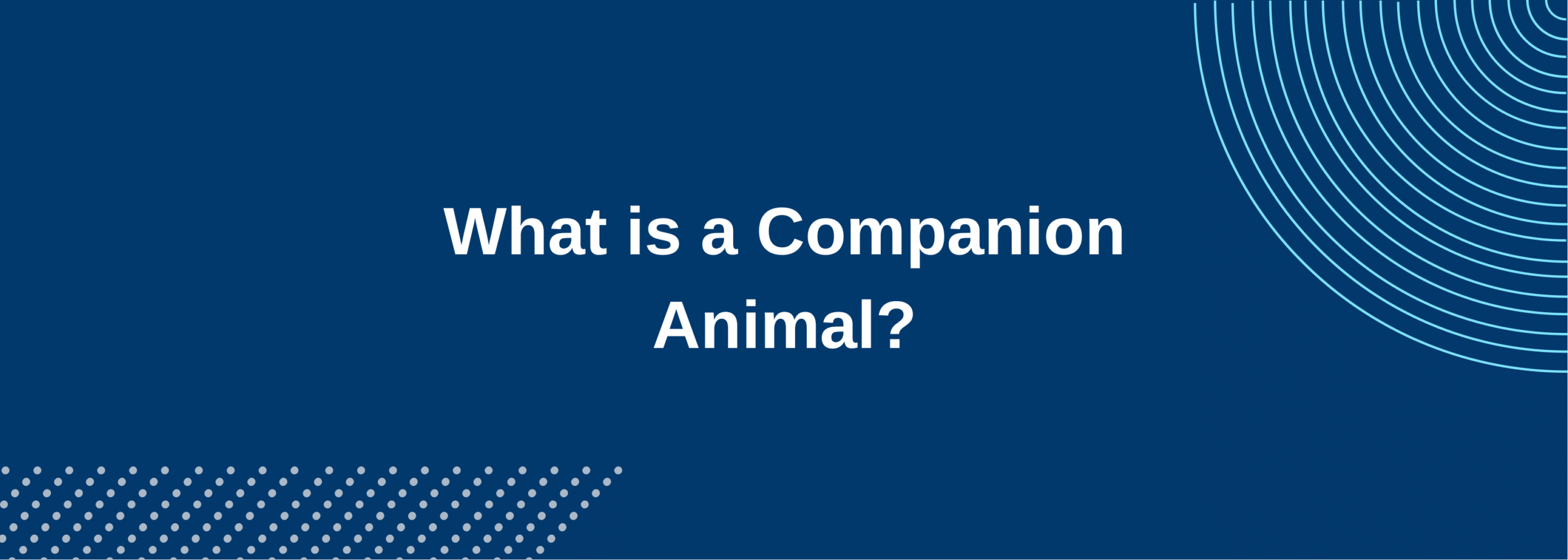 A companion animal is a domestic creature that provides companionship to a human. Companion animals are indistinguishable from pets.