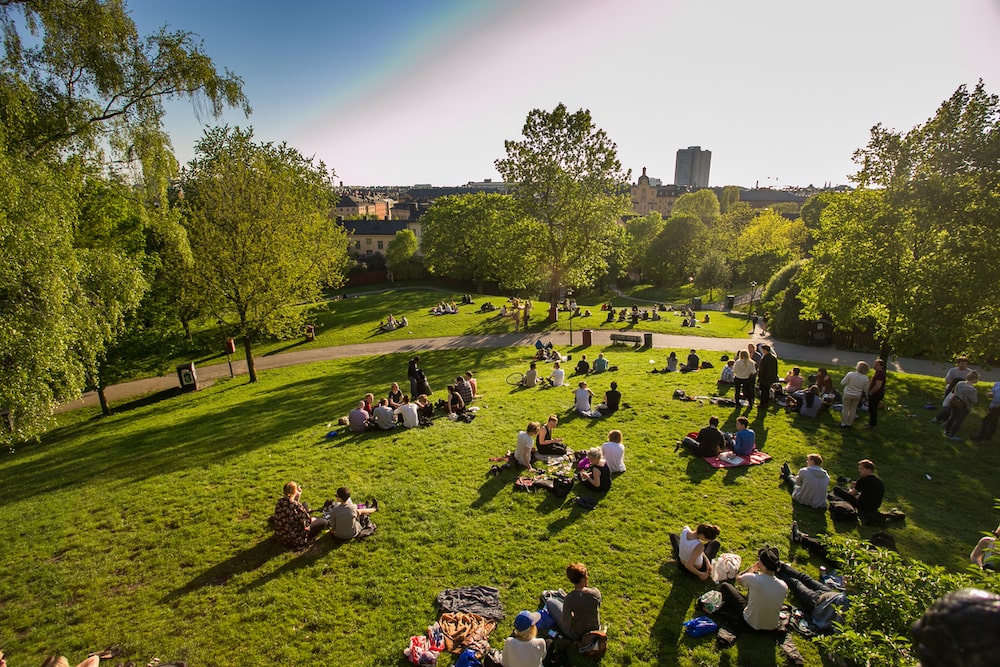 the rest of the people in Sweden are in Stockholm, center city, evening, green grass in the Park, picnic on the lawn