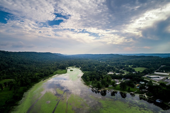 Marshes and swamps in the Alabama countryside
