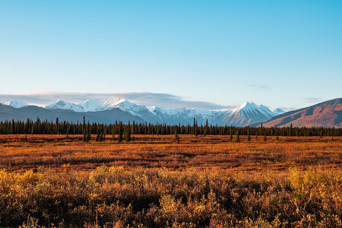 Alaska Month-to-Month Lease Agreement