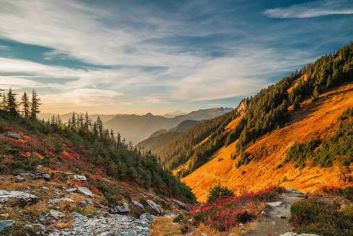 Tenant Background Check Washington