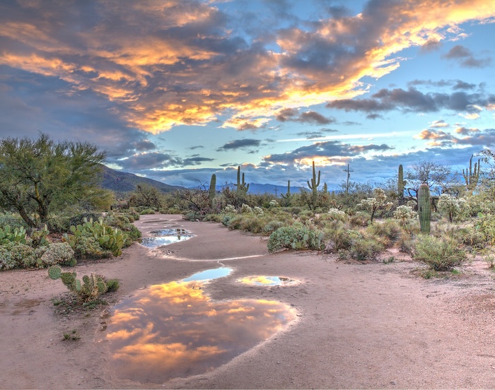 Arizona Property Tax