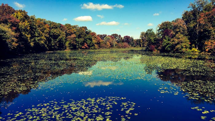 Delaware Month-to-Month Rental Agreement