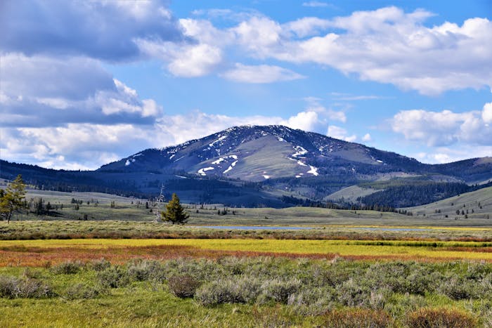 Room Rental Agreement Montana