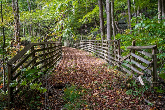 Room Rental Agreement West Virginia